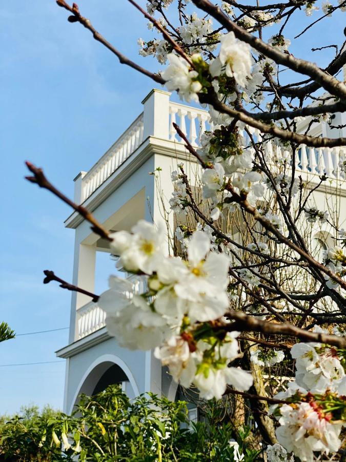 Theros Villa Plános Dış mekan fotoğraf